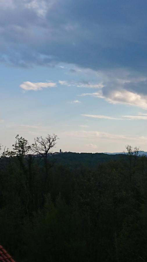 Studio Apartman Kastav Hill Zewnętrze zdjęcie
